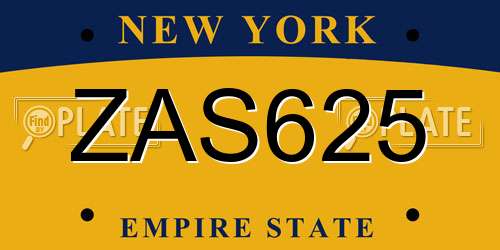 ZAS625 New York License Plate
