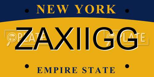ZAXIIGG New York License Plate