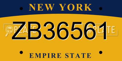 ZB36561 New York License Plate