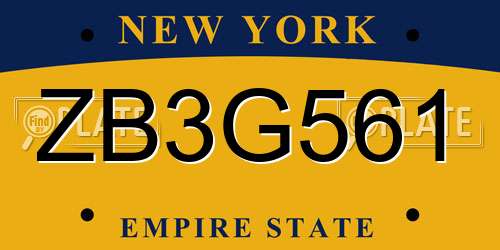 ZB3G561 New York License Plate