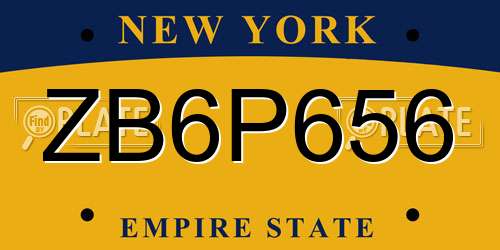 ZB6P656 New York License Plate