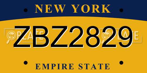 ZBZ2829 New York License Plate