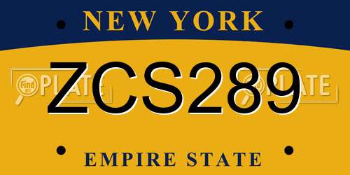 ZCS289 New York License Plate