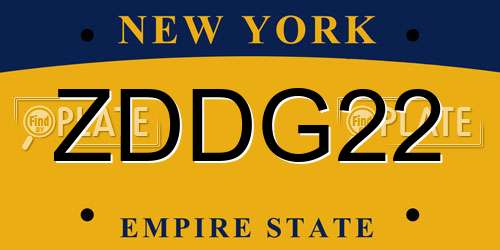 ZDDG22 New York License Plate