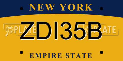 ZDI35B New York License Plate