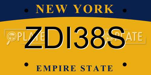 ZDI38S New York License Plate