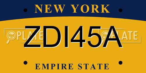 ZDI45A New York License Plate