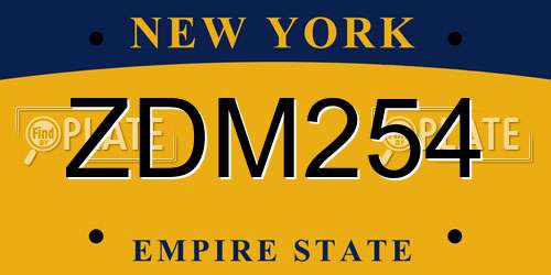 ZDM254 New York License Plate