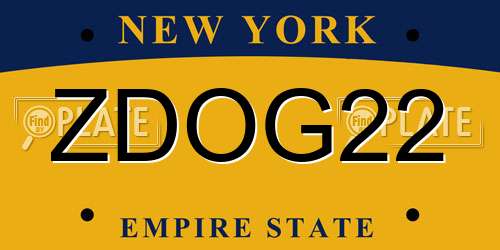 ZDOG22 New York License Plate