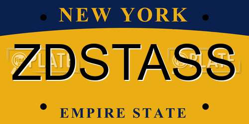 ZDSTASS New York License Plate