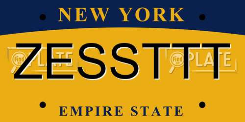 ZESSTTT New York License Plate