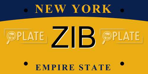 ZIB New York License Plate