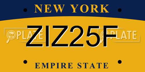 ZIZ25F New York License Plate