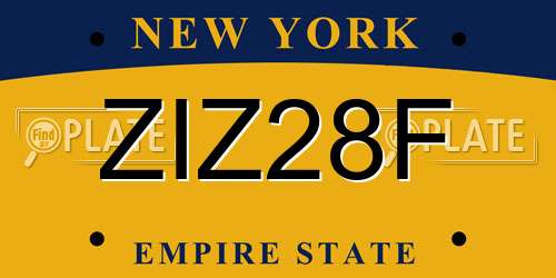 ZIZ28F New York License Plate