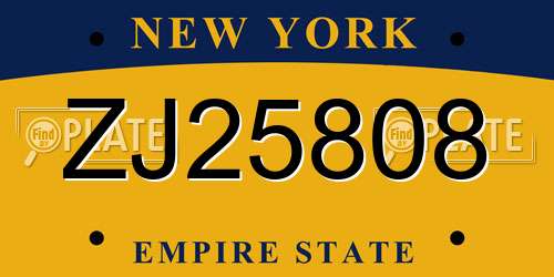 ZJ25808 New York License Plate