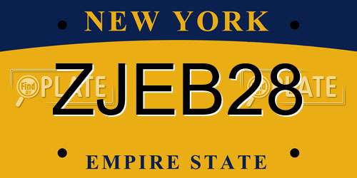 ZJEB28 New York License Plate