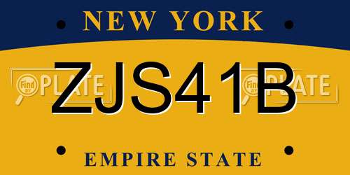 ZJS41B New York License Plate