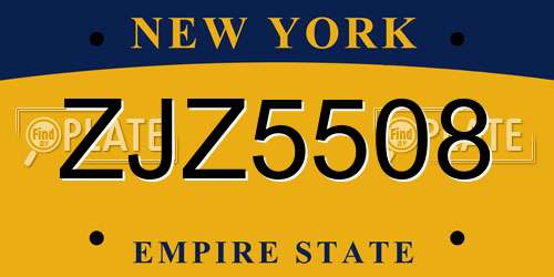 ZJZ5508 New York License Plate