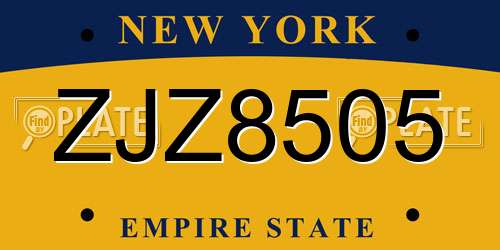ZJZ8505 New York License Plate