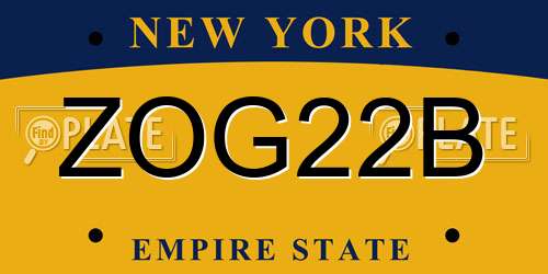 ZOG22B New York License Plate