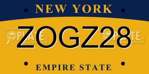 ZOGZ28 New York License Plate