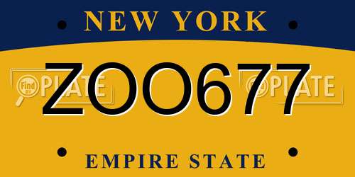 ZOO677 New York License Plate