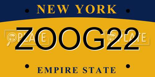 ZOOG22 New York License Plate