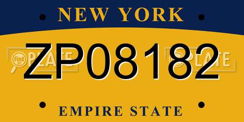 ZP08182 New York License Plate