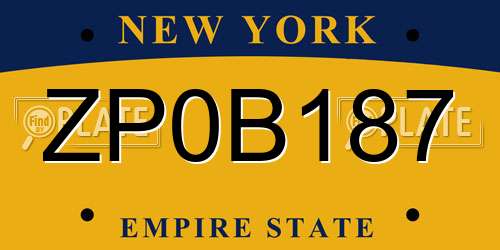 ZP0B187 New York License Plate