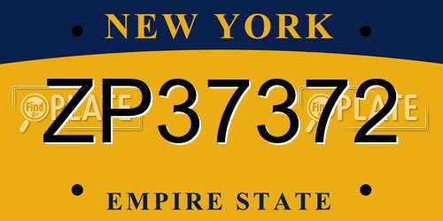 ZP37372 New York License Plate