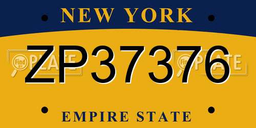 ZP37376 New York License Plate