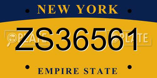 ZS36561 New York License Plate