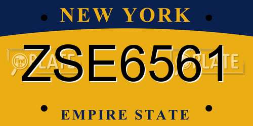 ZSE6561 New York License Plate