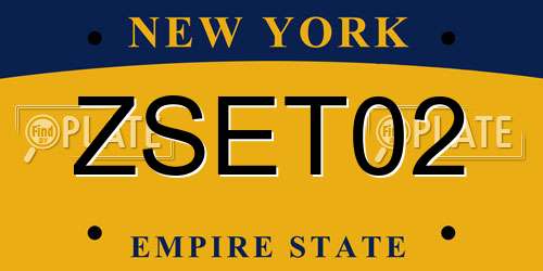 ZSET02 New York License Plate