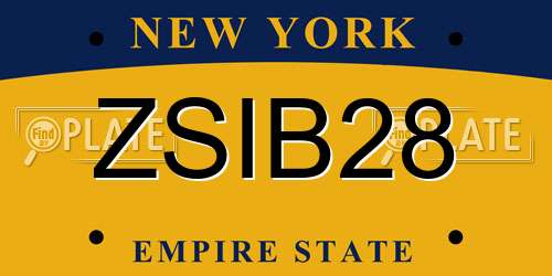 ZSIB28 New York License Plate