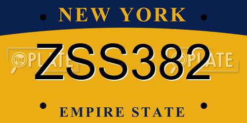 ZSS382 New York License Plate
