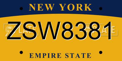 ZSW8381 New York License Plate