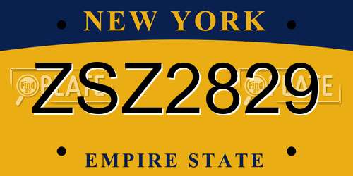ZSZ2829 New York License Plate