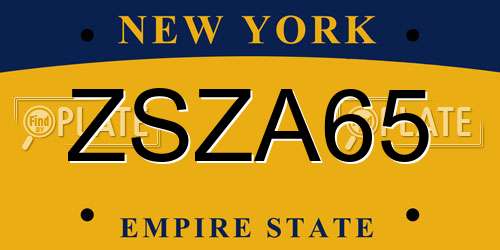 ZSZA65 New York License Plate