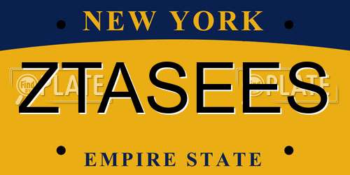 ZTASEES New York License Plate