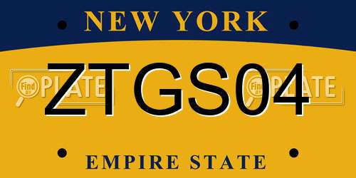 ZTGS04 New York License Plate