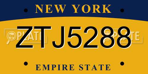 ZTJ5288 New York License Plate