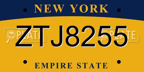 ZTJ8255 New York License Plate