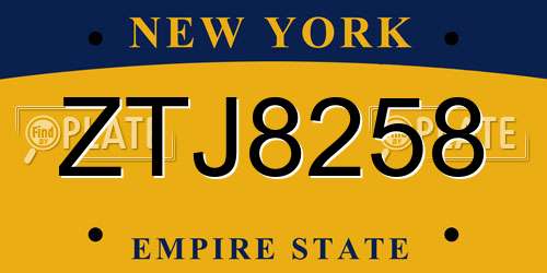 ZTJ8258 New York License Plate
