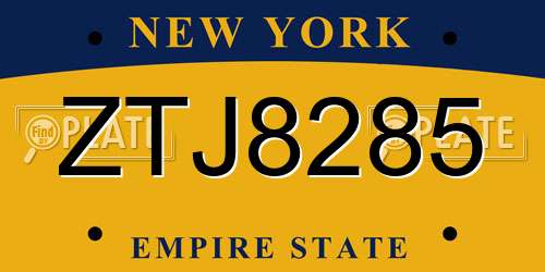 ZTJ8285 New York License Plate
