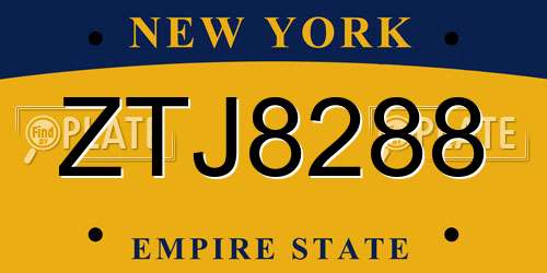ZTJ8288 New York License Plate