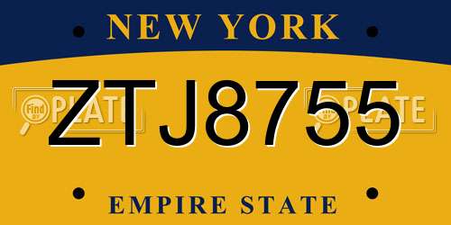 ZTJ8755 New York License Plate