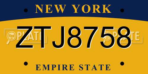 ZTJ8758 New York License Plate