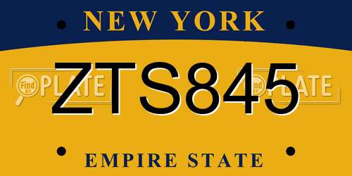 ZTS845 New York License Plate