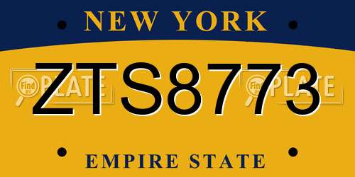 ZTS8773 New York License Plate